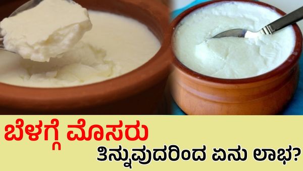 ಖಾಲಿ ಹೊಟ್ಟೆಯಲ್ಲಿ ಮೊಸರು ತಿನ್ನುವುದರಿಂದ ಆಗುವ ಲಾಭಗಳೇನು?