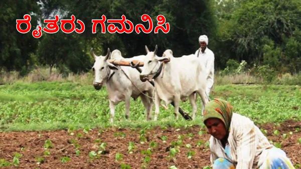 Fasal Bima Scheme: ಪಿಎಂ ಫಸಲ್‌ ಬಿಮಾ ಯೋಜನೆ ನೋಂದಣಿ ಶುರು
