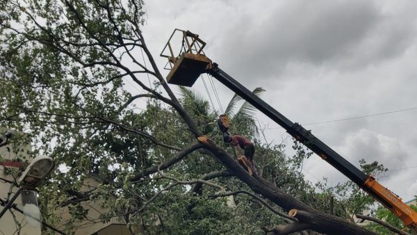 ಬೆಂಗಳೂರು ಮಳೆ: ಬೀಳುವ ಮರಗಳ ಬಗ್ಗೆ ಚಿಂತೆ ಬಿಡಿ, ಫಟಾಫಟ್ ತೆರವಿಗೆ ವ್ಯವಸ್ಥೆ ರೆಡಿ