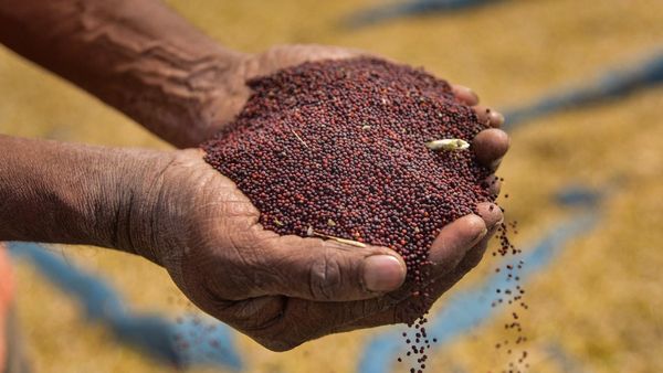 ಬೀಜ, ರಸಗೊಬ್ಬರದ ದರ ಪ್ರಕಟಿಸಲು ಖಡಕ್ ಸೂಚನೆ