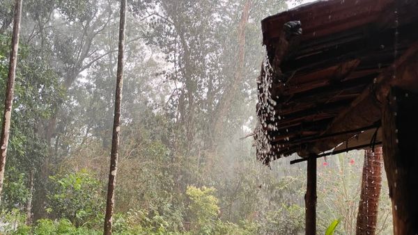 ಶಿವಮೊಗ್ಗದಲ್ಲಿ ಮಳೆಯ ಅಬ್ಬರ, ಡ್ಯಾಂಗಳ ನೀರಿನ ಮಟ್ಟ