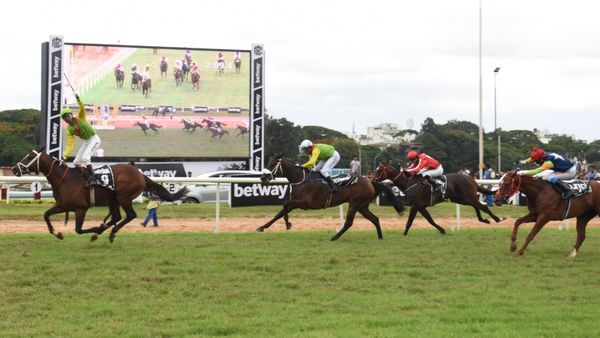 ವಾರಾಂತ್ಯದಲ್ಲಿ ಕುದುರೆ ರೇಸ್‌ ನಡೆಸಲು ಹೈಕೋರ್ಟ್ ಗ್ರೀನ್ ಸಿಗ್ನಲ್‌