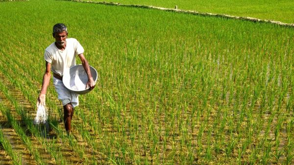 ಕೃಷಿ ಚಟುವಟಿಕೆ ಆರಂಭ: ರಸಗೊಬ್ಬರ ಬಳಸಲು ರೈತರಿಗೆ ಸಲಹೆಗಳು