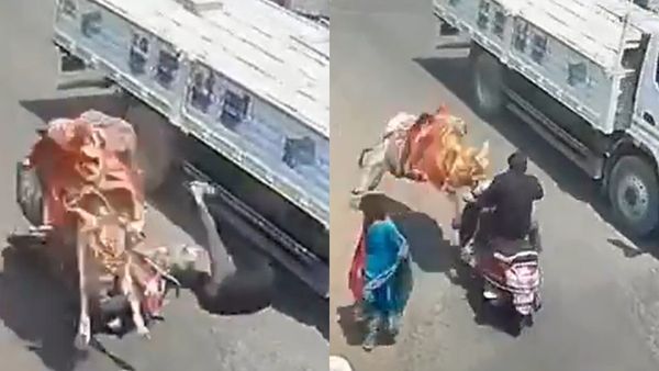Viral Video: ಅಬ್ಬಾ ಏನ್ ಟ್ರಕ್‌ ಡ್ರೈವರ್‌ ಟೈಮಿಂಗ್‌: ಕೊಂಚ ಮಿಸ್‌ ಆಗಿದ್ರು, ಬಡ ಜೀವ ಖಲ್ಲಾಸ್‌