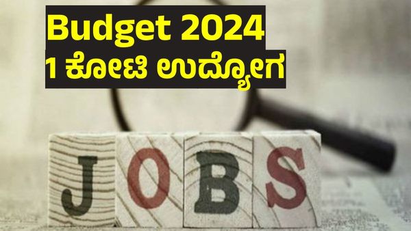 ಬಜೆಟ್ 2024: 1 ಕೋಟಿ ಯುವಕರಿಗೆ ಟಾಪ್ 500 ಕಂಪನಿಗಳಲ್ಲಿ ಉದ್ಯೋಗ ಘೋಷಣೆ