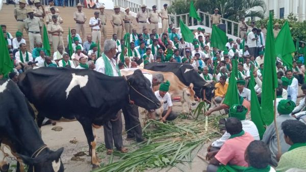 Chikkaballapur: ಹಾಲಿನ ದರ ಇಳಿಕೆ: ರಾಸುಗಳೊಂದಿಗೆ ರಾಜ್ಯ ಸರ್ಕಾರದ ವಿರುದ್ಧ ಗುಡುಗಿದ ರೈತ ಸಂಘ