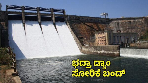 Bhadra Reservoir: 10 ದಿನಗಳಿಂದ ಡ್ಯಾಂ ನೀರು ಸೋರಿಕೆಗೆ ಮುಕ್ತಿ: ಅಪ್ಡೇಟ್ ಕೊಟ್ಟ ಡಿಕೆ ಶಿವಕುಮಾರ್