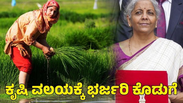  Budget 2024: ಕೃಷಿ ವಲಯಕ್ಕೆ ₹ 1.52 ಲಕ್ಷ ಕೋಟಿ ಮೀಸಲು: ಮಾಹಿತಿ, ವಿವರ