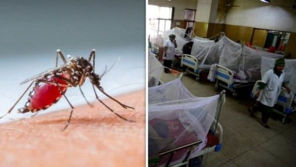 Dengue Fever: ಡೆಂಗ್ಯೂ ಪರೀಕ್ಷೆಗೆ ಹೆಚ್ಚುವರಿ ಹಣ ವಸೂಲಿ ಮಾಡಿದ ಲ್ಯಾಬ್‌ಗಳಿಗೆ ಆರೋಗ್ಯ ಇಲಾಖೆ ನೋಟಿಸ್ ಜಾರಿ!