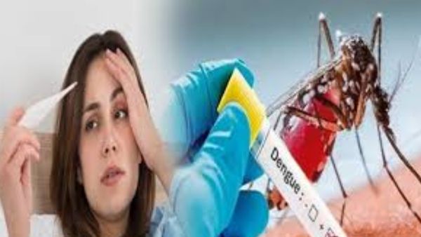 Dengue cases: ಜುಲೈ 13ರಂದು ಕರ್ನಾಟಕದಲ್ಲಿ ದಾಖಲಾದ ಡೆಂಗ್ಯೂ ಪ್ರಕರಣಗಳು: ಜಿಲ್ಲಾವಾರು ಅಂಕಿಅಂಶಗಳ ವಿವರ ಇಲ್ಲಿದೆ