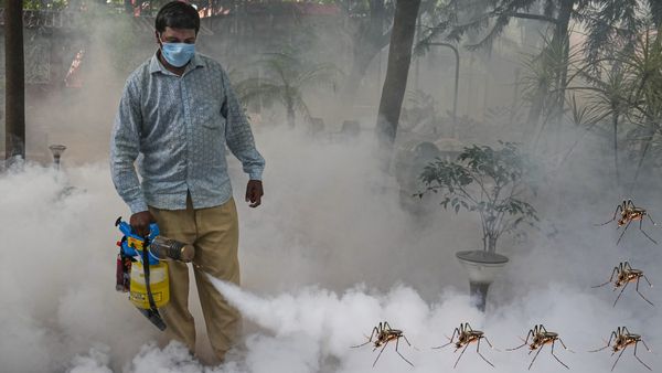 Dengue: ಯಾವ ಜಿಲ್ಲೆಯಲ್ಲಿ ಎಷ್ಟಿದೆ ಡೆಂಗಿ ಪ್ರಕರಣ? ಇಲ್ಲಿದೆ ವರದಿ