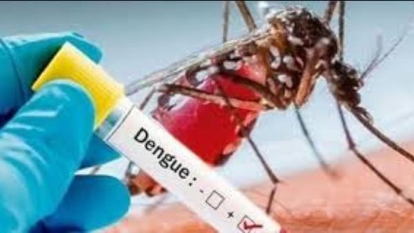 Danger Dengue: ಡೆಂಗ್ಯೂ ಬಗ್ಗೆ ಮುನ್ನೆಚ್ಚರಿಕೆ ಕ್ರಮವಹಿಸಿ- ಜಿಲ್ಲಾ ಆರೋಗ್ಯಾಧಿಕಾರಿ ಸಲಹೆ