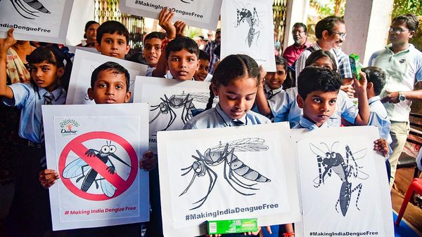 Dengue Fever: ಡೆಂಗ್ಯೂ ಜ್ವರ ಹೆಚ್ಚಾಗುತ್ತಿದ್ದು, ಸೊಳ್ಳೆಗಳ ನಿಯಂತ್ರಣ ಮಾಡುವ ಸುಲಭ ವಿಧಾನಗಳು ಇಲ್ಲಿವೆ