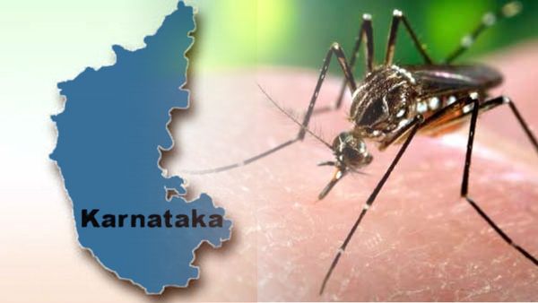 Dengue: ರಾಜ್ಯದಲ್ಲಿ ಡೆಂಗಿ ಆರ್ಭಟ: ಒಂದೇ ದಿನ ದಾಖಲಾಯಿತು 437 ಪ್ರಕರಣ