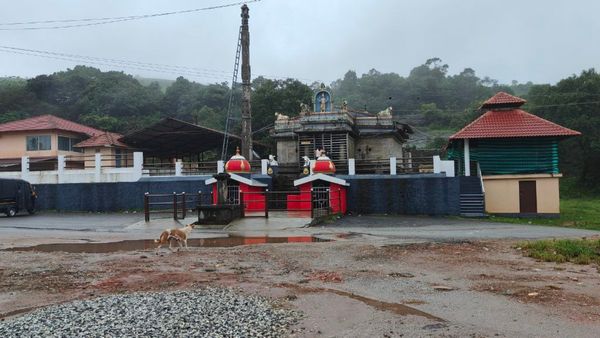 ಚಿಕ್ಕಮಗಳೂರು ಪ್ರವಾಸ: ಪೊಲೀಸ್ ಇಲಾಖೆಯಿಂದ ಸಲಹೆಗಳು