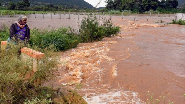 ಚಿಕ್ಕಮಗಳೂರು, ಧಾರವಾಡ ಜಿಲ್ಲೆಯಲ್ಲಿ ಭಾರೀ ಮಳೆ: ಶನಿವಾರ ಶಾಲಾ ಕಾಲೇಜುಗಳಿಗೆ ರಜೆ