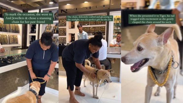 Necklace for Dog: ಸಾಕಿದ ನಾಯಿಗೆ ಲಕ್ಷಗಟ್ಟಲೆ ಬೆಲೆಬಾಳುವ ಚಿನ್ನದ ನೆಕ್ಲೆಸ್ ಹಾಕಿದ ಮಹಿಳೆ- ವಿಡಿಯೋ ವೈರಲ್