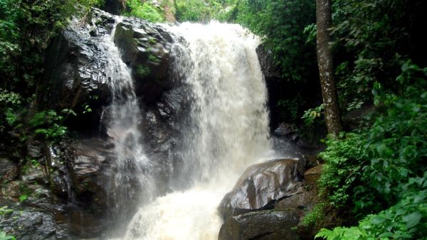 Haleri Waterfalls: ಮುಂಗಾರು ಮಳೆಗೆ ಮೈದುಂಬಿದ 'ಹಾಲೇರಿ ಜಲಧಾರೆ’