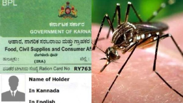 Ration Card: ಡೆಂಗ್ಯೂ ಭೀತಿ: ಬಿಪಿಎಲ್‌ ಕಾರ್ಡುದಾರರಿಗೆ ಗುಡ್‌ ನ್ಯೂಸ್‌