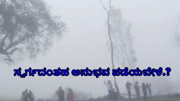 Gopalswami Hill: ಸ್ವರ್ಗದಂತಹ ಅನುಭವ ಪಡೆಯಬೇಕೆ.? ಈ ಬೆಟ್ಟಕ್ಕೆ ಭೇಟಿ ನೀಡಿ