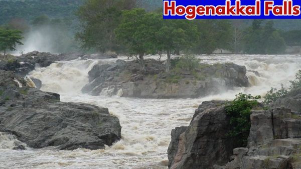 Hogenakkal Falls: ಹೊಗೆನಕಲ್‌ ಜಲಪಾತದ ಕಡೆ ಪ್ರವಾಸ ಬೆಳೆಸುವ ಮುನ್ನ ಈ ಸುದ್ದಿ ಗಮನಿಸಿ