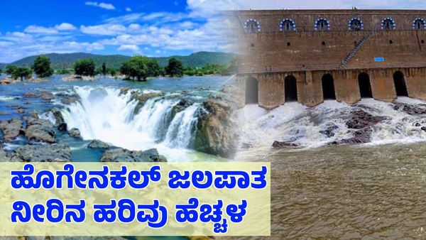 Hogenakkal Falls: ಹೊಗೇನಕಲ್ ಜಲಪಾತ ನೀರಿನ ಹರಿವು ಹೆಚ್ಚಳ; ಮೆಟ್ಟೂರು ಜಲಾಶಯದ ಒಳಹರಿವು ಎಷ್ಟಿದೆ?