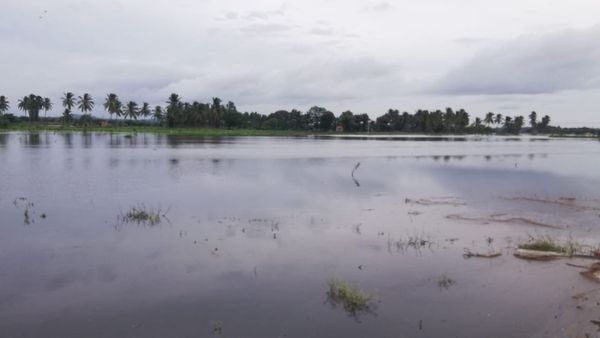 KRS & Kabin Dam: ಜಲಾಶಯದಿಂದ ಭಾರಿ ಪ್ರಮಾಣದ ನೀರು ಬಿಡುಗಡೆ; ಕೊಳ್ಳೆಗಾಲದಲ್ಲಿ ಪ್ರವಾಹ ಆತಂಕ