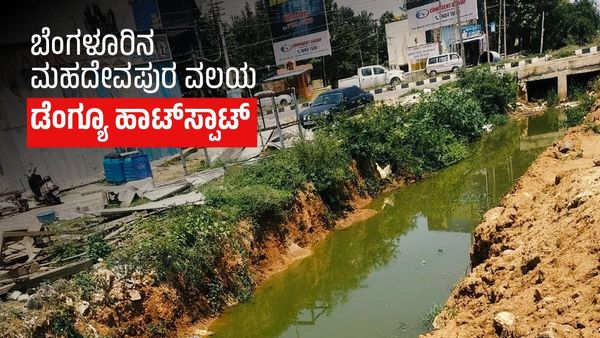 Mahadevpura Dengue: ಮಹದೇವಪುರ ವಲಯ ಡೆಂಗ್ಯೂ ಹಾಟ್‌ಸ್ಪಾಟ್- ನಿಂತ ನೀರಿನಲ್ಲಿ ಸೊಳ್ಳೆ ಸಂತಾನ ವೃದ್ಧಿ!
