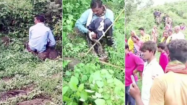 Python Attack Video: ಬಯಲು ಶೌಚಕ್ಕೆ ಹೋದವನ ಕತ್ತಿಗೆ ಸುತ್ತಿಕೊಂಡ ಹೆಬ್ಬಾವು: ವಿಡಿಯೋ ವೈರಲ್