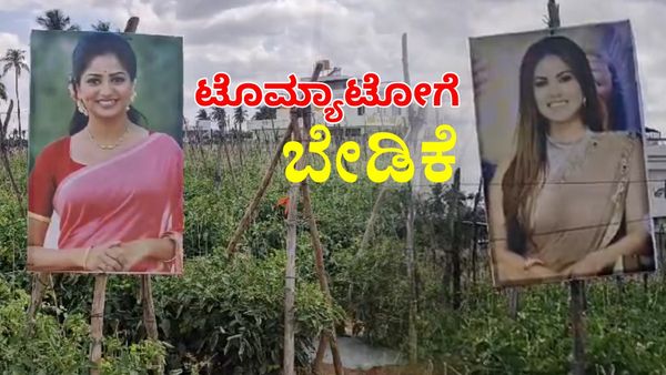 ಕೆಂಪು ಚೆಂದುಳ್ಳಿ ಚಲುವೆ ಕಾವಲಿಗೆ ನಿಂತ ಗುಳಿಕೆನ್ನೆ ಬೆಡಗಿ