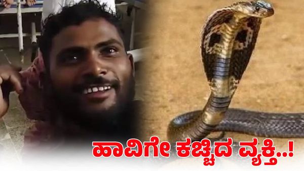 Snake Bite: ತನ್ನನ್ನು ಕಚ್ಚಿದ ಹಾವಿಗೆ ತಿರುಗಿ ಎರಡು ಬಾರಿ ಕಚ್ಚಿದ ವ್ಯಕ್ತಿ: ಬಳಿಕ ಆಗಿದ್ದೇನು?