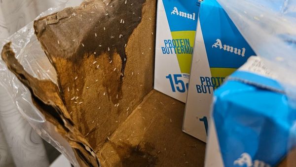 Viral video: ಆನ್‌ಲೈನ್‌ನಲ್ಲಿ ಆರ್ಡರ್ ಮಾಡಿದ ಅಮುಲ್ ಮಜ್ಜಿಗೆ ಪ್ಯಾಕ್‌ನಲ್ಲಿ ಜೀವಂತ ಹುಳುಗಳು!