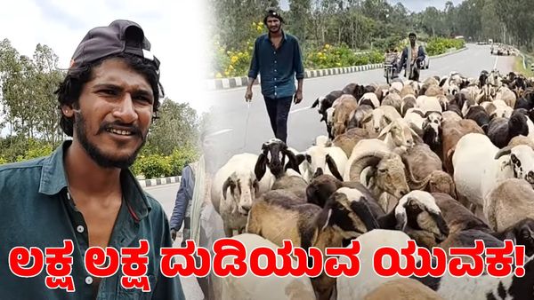 ಡಿಪ್ಲೋಮಾ ಓದಿದ್ದರೂ ಕುರಿ ಕಾಯುವ ಕಾಯಕ; ಯುವಕನ ಸಂಪಾದನೆ ಎಷ್ಟು ಲಕ್ಷ ಗೊತ್ತಾ?