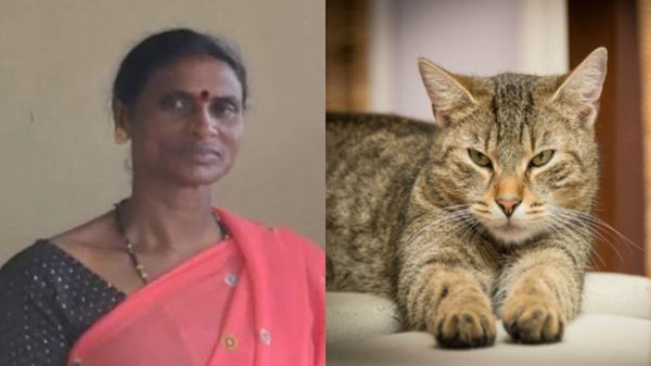 ಅಯ್ಯಯ್ಯೋ..! ಶಿವಮೊಗ್ಗದಲ್ಲಿ ಸಾಕು ಬೆಕ್ಕು ಕಚ್ಚಿ ಮಹಿಳೆ ಸಾವು.. ಆಗಿದ್ದೇನು..?