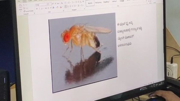 ISRO ಗಗನಯಾನಕ್ಕೆ ಹೊರಟ ಧಾರವಾಡದ ನೊಣಗಳು: ಸಂಪೂರ್ಣ ವಿವರ ಇಲ್ಲಿದೆ