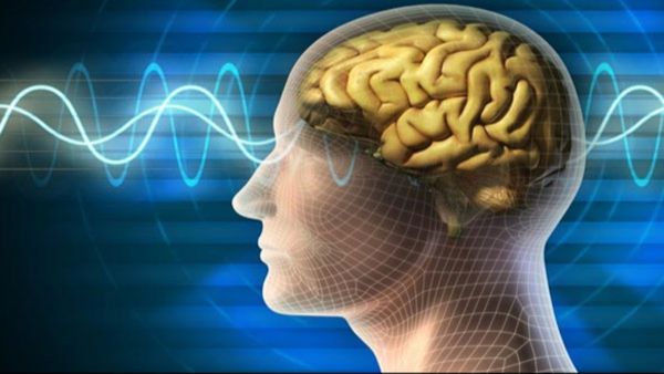 Parkinson's disease:: ಪಾರ್ಕಿನ್ಸನ್ಸ್ ರೋಗದ ಬಗ್ಗೆ ಗೊತ್ತಾ? ನಿಯಂತ್ರಣಕ್ಕೆ ಆಹಾರ ಕ್ರಮ ಹೇಗಿರಬೇಕು?