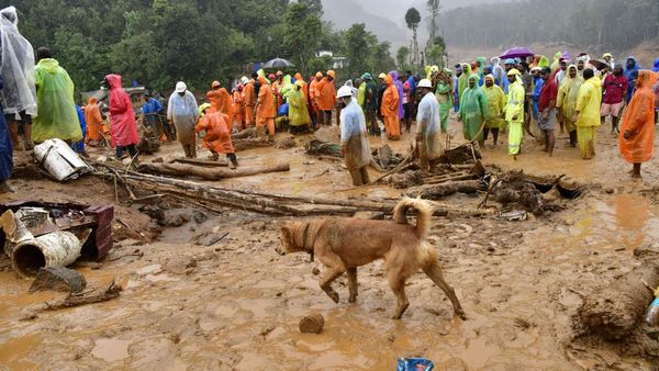 Wayanad landslide: ವಯನಾಡಿನ ಗುಡ್ಡಕುಸಿತ ಸ್ಥಳಕ್ಕೆ ಗುಂಡ್ಲುಪೇಟೆ ಶಾಸಕ ಭೇಟಿ