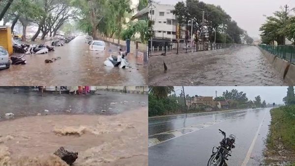 Hassan Rain: ಹಾಸನದಲ್ಲಿ ಧಾರಾಕಾರ ಮಳೆ- ರೈತರ ಆಸೆಗೆ ತಣ್ಣೀರು ಎರಚಿದ ಮಳೆರಾಯ!