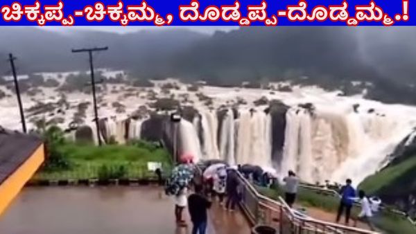 Jog Falls: ಜೋಗ ಜಲಪಾತದಲ್ಲಿ ರಾಜ, ರಾಣಿ, ರೋರಲ್‌, ರಾಕೇಟ್‌ ಜೊತೆ ಚಿಕ್ಕಪ್ಪ-ಚಿಕ್ಕಮ್ಮ, ದೊಡ್ಡಪ್ಪ-ದೊಡ್ಡಮ್ಮ-ವಿಡಿಯೋ ವೈರಲ್‌