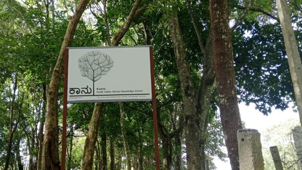 ಬಿಳಿಗಿರಿರಂಗನ ಬೆಟ್ಟದಲ್ಲಿ 'ಕಾನು' ಗ್ರಂಥಾಲಯ ಆರಂಭಕ್ಕೆ ಕಾರಣ ಏನು? ಇಲ್ಲಿ ಯಾವೆಲ್ಲ ಪುಸ್ತಕಗಳು ಸಿಗಲಿವೆ?-ಇಲ್ಲಿದೆ ಮಾಹಿತಿ