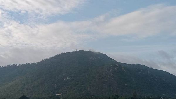 ಚಾಮುಂಡಿಬೆಟ್ಟವೆಂಬ ಆಕ್ಸಿಜನ್ ಕಣಜ: ತಾಯಿ ಬೆಟ್ಟ ಹತ್ತಿ ಇಳಿದರೆ ಏನೇನು ಲಾಭವಿದೆ?