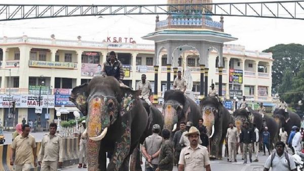 Mysuru Dasara: ದಸರಾ ಜಂಬೂಸವಾರಿಗೆ ಗಜಪಡೆ ತಾಲೀಮು ಹೇಗಿರಲಿದೆ ಗೊತ್ತಾ..?
