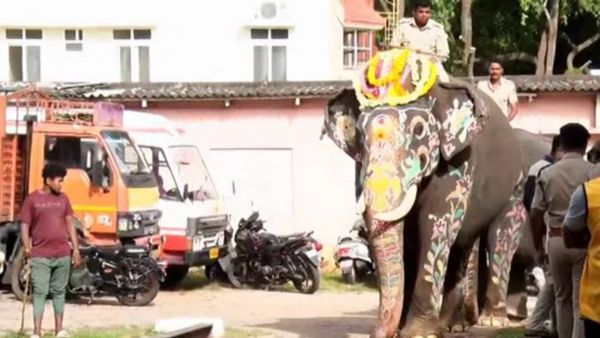 Mysuru Dasara 2024: ಮೈಸೂರು ದಸರಾ ಆನೆಗಳ ತೂಕ ಮಾಪನ: ಅಭಿಮನ್ಯು ತೂಕವೆಷ್ಟು..?