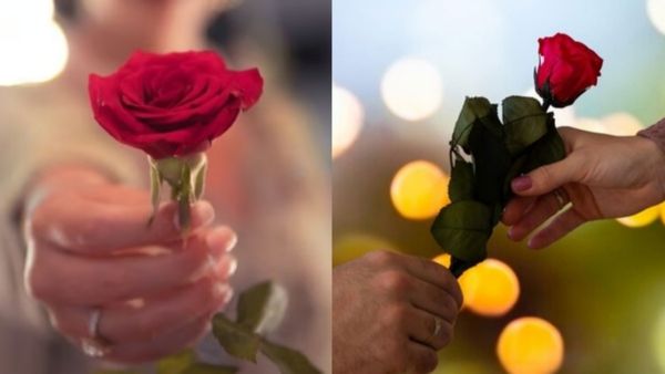 Red Rose Pakoda Recipe: ಕೆಂಪು ಗುಲಾಬಿ ಪಕೋಡಾ ತಯಾರಿಸುವ ವಿಧಾನ: ವಿಡಿಯೋ ನೋಡಿ....