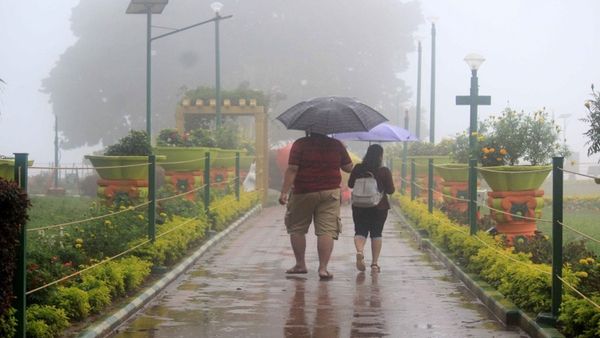 ದಿನದಿಂದ ದಿನಕ್ಕೆ ಅದ್ಭುತವಾಗುತ್ತಿದೆ ಮಡಿಕೇರಿಯ ರಾಜಾಸೀಟ್: ನಿಸರ್ಗದ ಲಾಸ್ಯ ನೋಡಲು ತಪ್ಪದೇ ಬನ್ನಿ