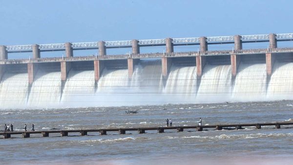 Tungabhadra Dam: ರಾಜ್ಯದ ಎಲ್ಲ ಜಲಾಶಯಗಳ ಸ್ಥಿತಿಗತಿ ಪರಿಶೀಲನೆಗೆ ತಜ್ಞರ ಸಮಿತಿ ರಚನೆ