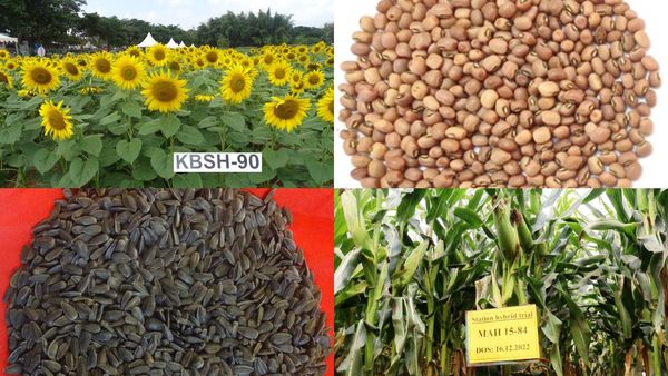 Krishi Mela 2024: ಬೆಂಗಳೂರು 'ಕೃಷಿ ಮೇಳ'ಕ್ಕೆ ದಿನಾಂಕ ಫಿಕ್ಸ್, ವಿಶೇಷತೆಗಳೇನು?