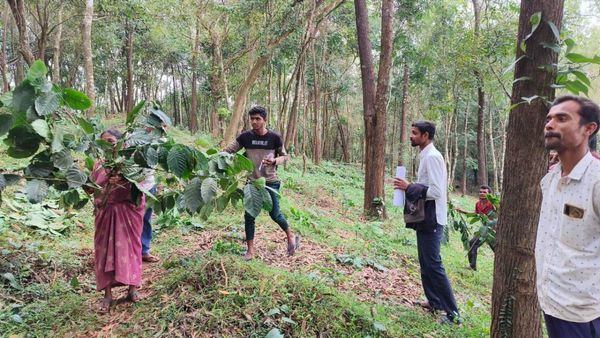 Chikkamagaluru: ಬಡವರ ಕಾಫಿ ತೋಟ ಮಾತ್ರ ತೆರವು: ಚಿಕ್ಕಮಗಳೂರಿನಲ್ಲಿ ಕಣ್ಣೀರಿಟ್ಟ ಕುಟುಂಬ