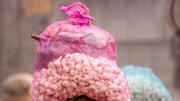 Breaking News: ಶಿವಮೊಗ್ಗದಲ್ಲಿ ಬೆಳ್ಳುಳ್ಳಿ ಅಂಗಡಿಗಳ ಮೇಲೆ ಅಧಿಕಾರಿಗಳ ದಾಳಿ