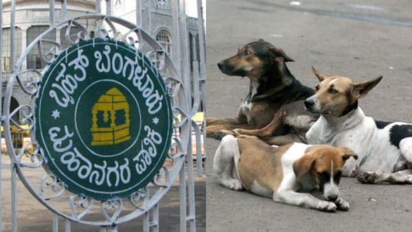 ಬೀದಿ ನಾಯಿಗಳ ನಿಯಂತ್ರಣಕ್ಕೆ ಬಿಬಿಎಂಪಿ ಹೊಸ ಪ್ಲ್ಯಾನ್‌